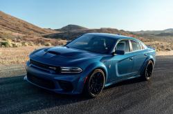 开云APP-利物浦节奏，新西兰战场，富安健洋的掌控艺术与带队胜利