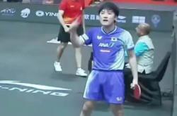 开云体育平台APP-关于法国队翻盘奥地利队，张本智和带队取胜的信息