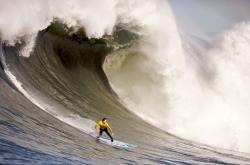 开云APP-当红黑条纹遭遇非洲雄狮，格纳布里如何以一人之力撕裂加纳防线