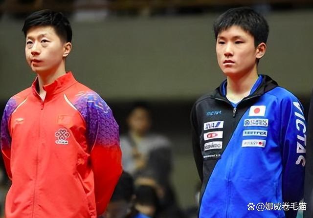 包含日本乒乓球队翻盘德国乒乓球队，马龙关键制胜的词条