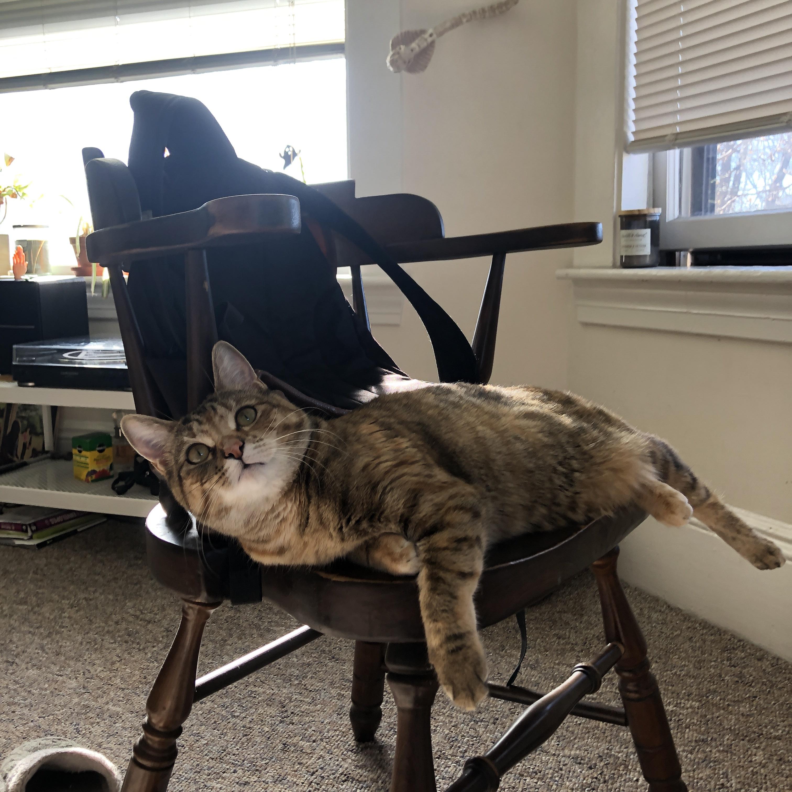 赛道与球场的双重奏,当F1街道赛焦点战遇见太阳击溃热火