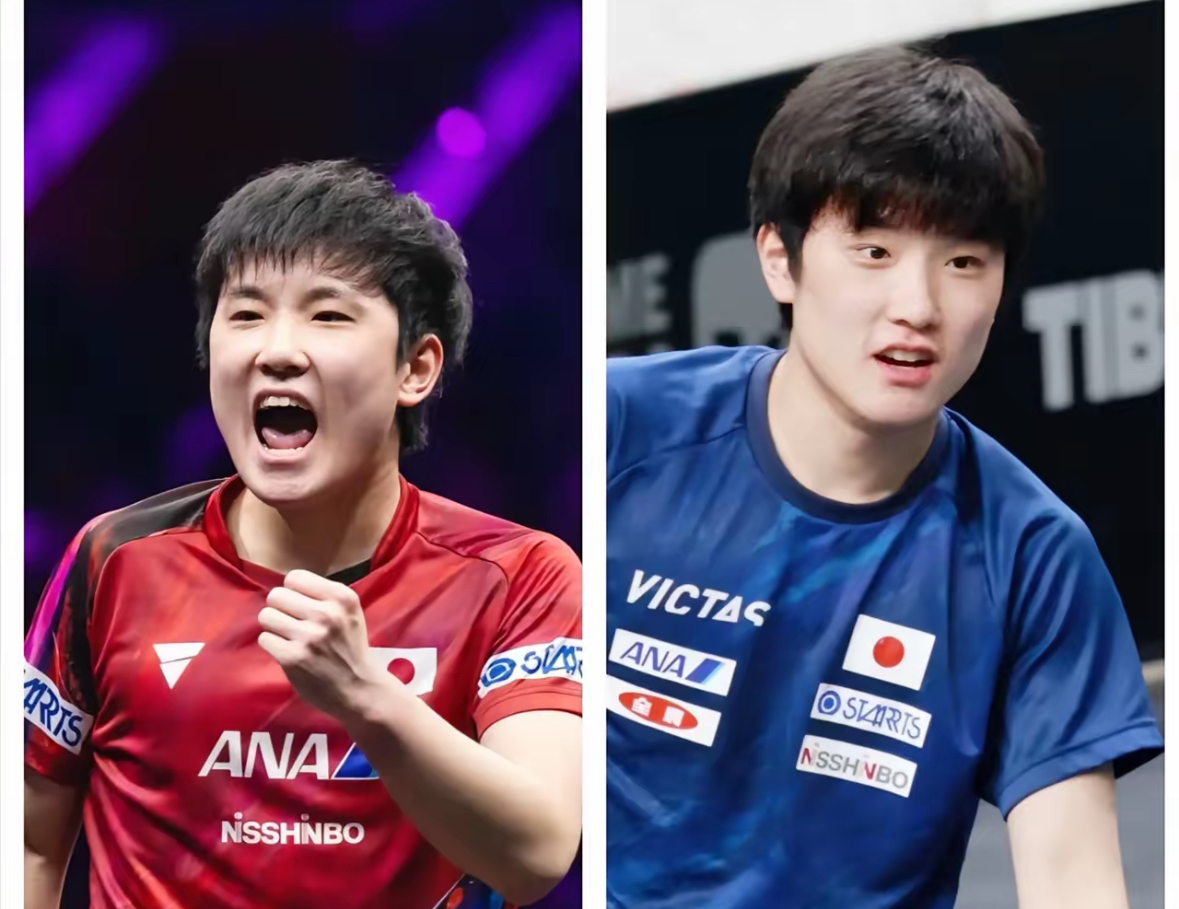 关于法国队翻盘奥地利队，张本智和带队取胜的信息