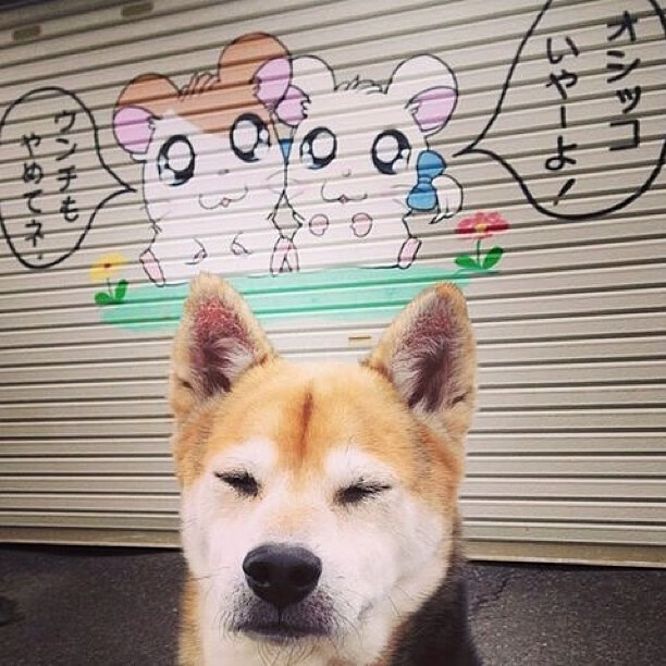 佩德里，用实力打破节奏，西班牙新星如何让拜仁式英格兰俯首