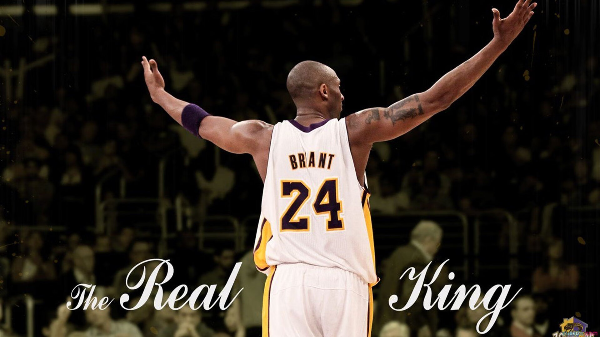 提前终结悬念!深圳队灰熊之战德罗赞化身关键先生