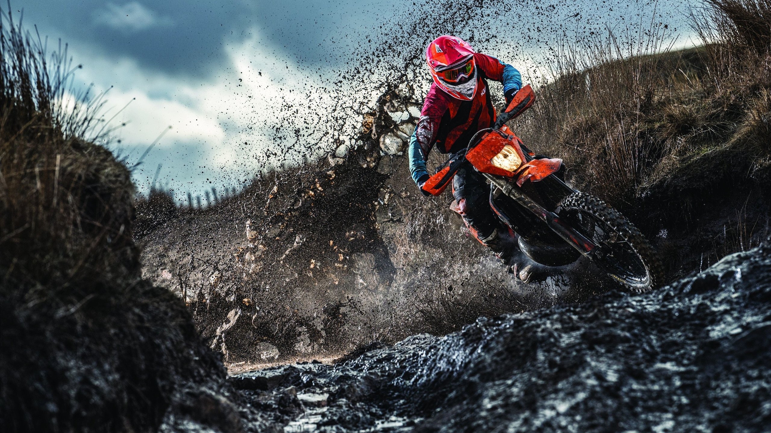 萨城新王登基，福克斯抢七鏖战勇士，用血性与智慧书写唯一传奇